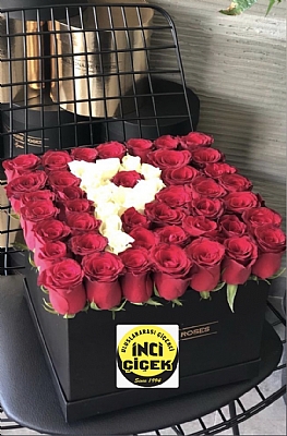 Kare kutuda ba harf kiiye zel