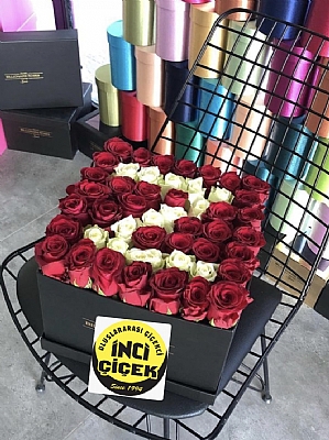 KYE ZEL BA HARF KARE KUTUDA