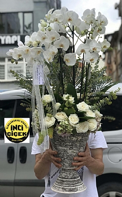 6 dal orkide beyaz gl ile hazrlanm zel saksda arajmanmz