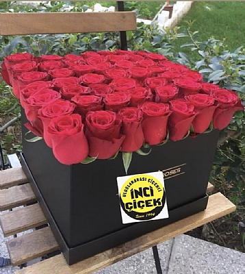 SYAH KARE KUTUDA 33 KIRMIZI GL