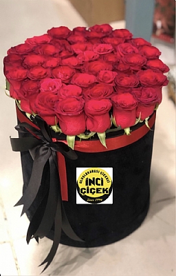 Siyah yuvarlak kadife kutuda krmz gl