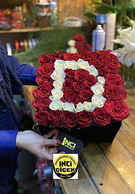 SYAH KADFE KUTUDA D harfi 