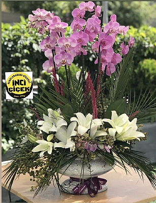 6 dal Orkide pembe ve lilyum arajman