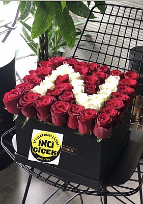 Krmz gllerden ba harf kare kutuda