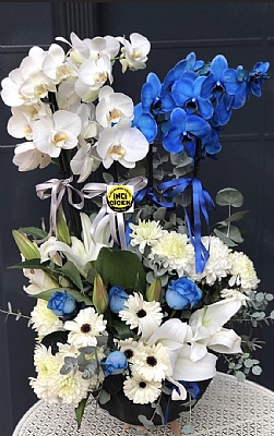 Mavi ve beyaz orkide alt ksm zel arajman