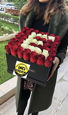 Kare kutuda bas harf