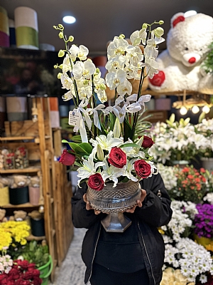 Orkide arajman ta dekor saksda