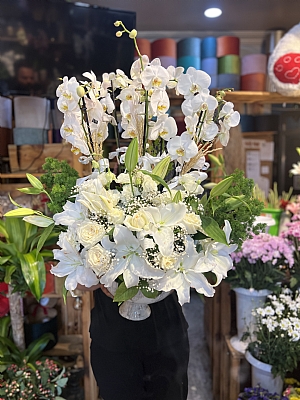 6 dal orkide ve lilyum arajman