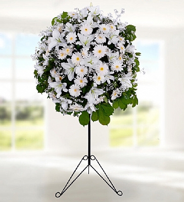  Beyaz Ferforje Aranjman Beyaz lilyum ve beyaz gerbera ile hazrlanm al, dn, nian ve nikah iei.