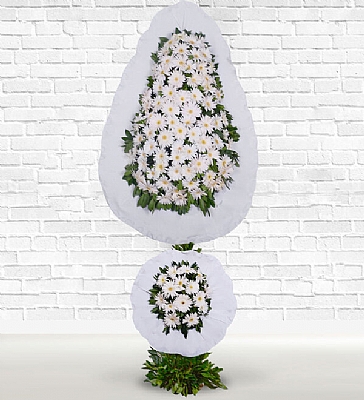  Beyaz ki Katl Ayakl Sepet Beyaz gerbera ile hazrlanm iki katl ayakl nikah, dn ve al iei.