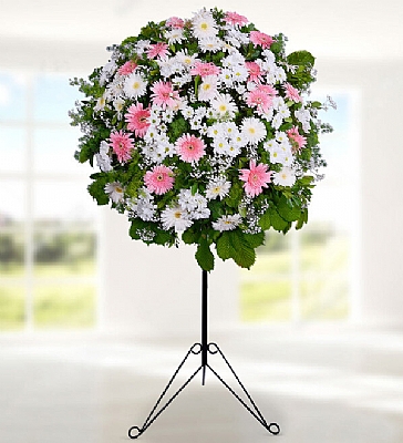  Gerbera ve Papatya Ferforje Renkli gerberalar ile hazrlanm al, dn, nian ve nikah iei.